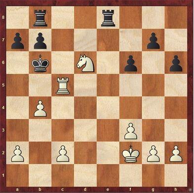 Chess Corner: Shelter